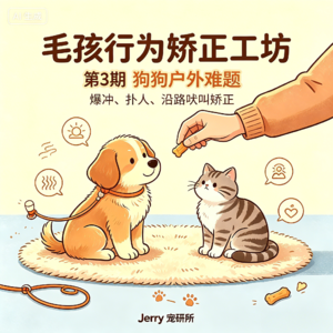 【毛孩行为矫正工坊】 第 3 期|狗狗户外难题:爆冲牵不住、扑人、无故吠叫