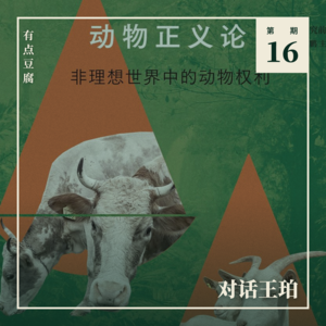 Vol.16 对话王珀：善待动物不仅是道德问题更是社会正义？