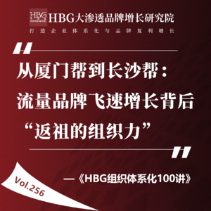 Vol.256 从厦门帮到长沙帮：流量品牌飞速增长背后“返祖的组织力”