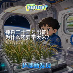 神舟二十三号出征！为什么还要带大米？- 2026/06 第一周