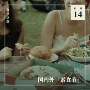 Vol.14 国内外「素食节」上,动物在场吗?