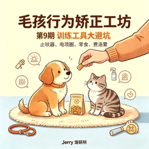 【毛孩行为矫正工坊】 第 9 期 训练工具大避坑：止吠器、电项圈、训导零食、费洛蒙测评