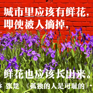 11.北京摇滚40年①：从「一无所有」到黄金时代