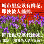 11.北京摇滚40年①：从「一无所有」到黄金时代