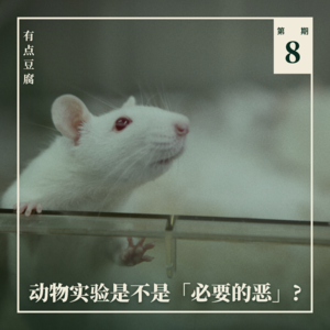 Vol.08 动物实验是不是「必要的恶」？从猫肾移植谈起