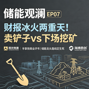 EP07｜财报冰火两重天！卖铲子vs下场挖矿，储能龙头的路线生死局
