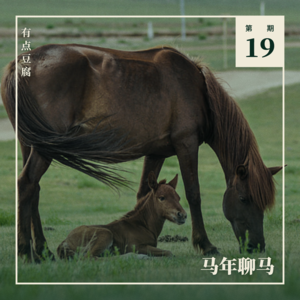 Vol.19 马年聊马：从赛场到血农场，她们不是「女王」，是「奴隶」