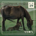 Vol.19 马年聊马：从赛场到血农场，她们不是「女王」，是「奴隶」