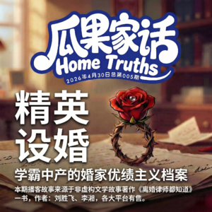 Vol.005 精英设婚:起诉分千万家产却还同床?穿透跨阶层婚姻的“优绩主义”傲慢