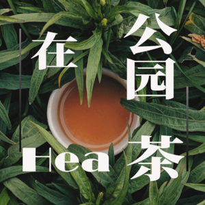 在公园Hea茶