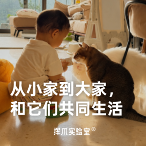E.6 从小家到大家,和它们共同生活