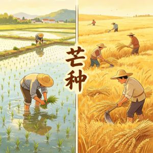 节气行吟——芒种