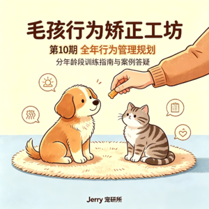 【毛孩行为矫正工坊】 第 10 期 收官总结:全年行为管理规划 + 听众真实案例答疑