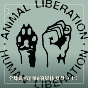 (EN) 豆腐国际Vol.02 全球动权前线的集体复盘(上)