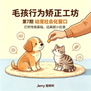 【毛孩行为矫正工坊】 第 7 期 幼宠黄金社会化窗口：打好性格基础，远离胆小应激
