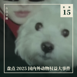 15. 从 Papi 案聊起,盘点 2025 国内外动物权益大事件