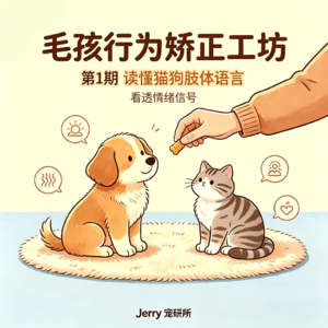 【毛孩行为矫正工坊】 第 1 期|开篇导论:读懂猫狗肢体语言,看透情绪信号