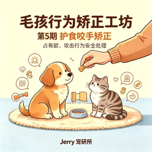 【毛孩行为矫正工坊】 第 5 期 护食、咬手、占有欲过强:宠物攻击行为安全矫正