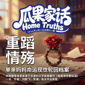 Vol.011 重蹈情殇:未婚妈妈苦熬9年告赢渣男,为何转头又跳进同一个火坑?