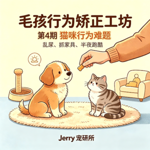 【毛孩行为矫正工坊】 第 4 期 猫咪行为难题：乱尿标记、抓坏家具、半夜跑酷扰民